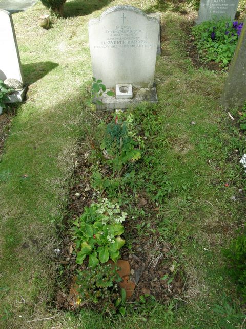 BARNES 