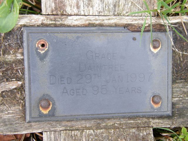 DAINTREE