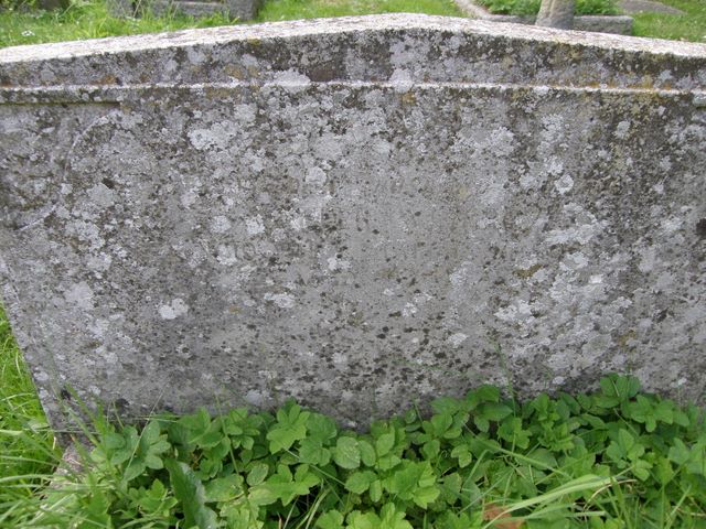 WINGROVE
